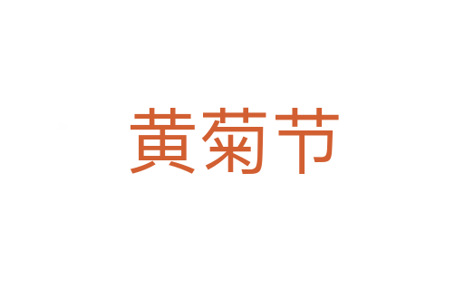 黄菊节