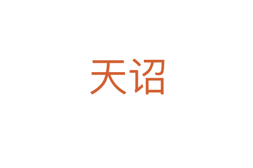 天诏